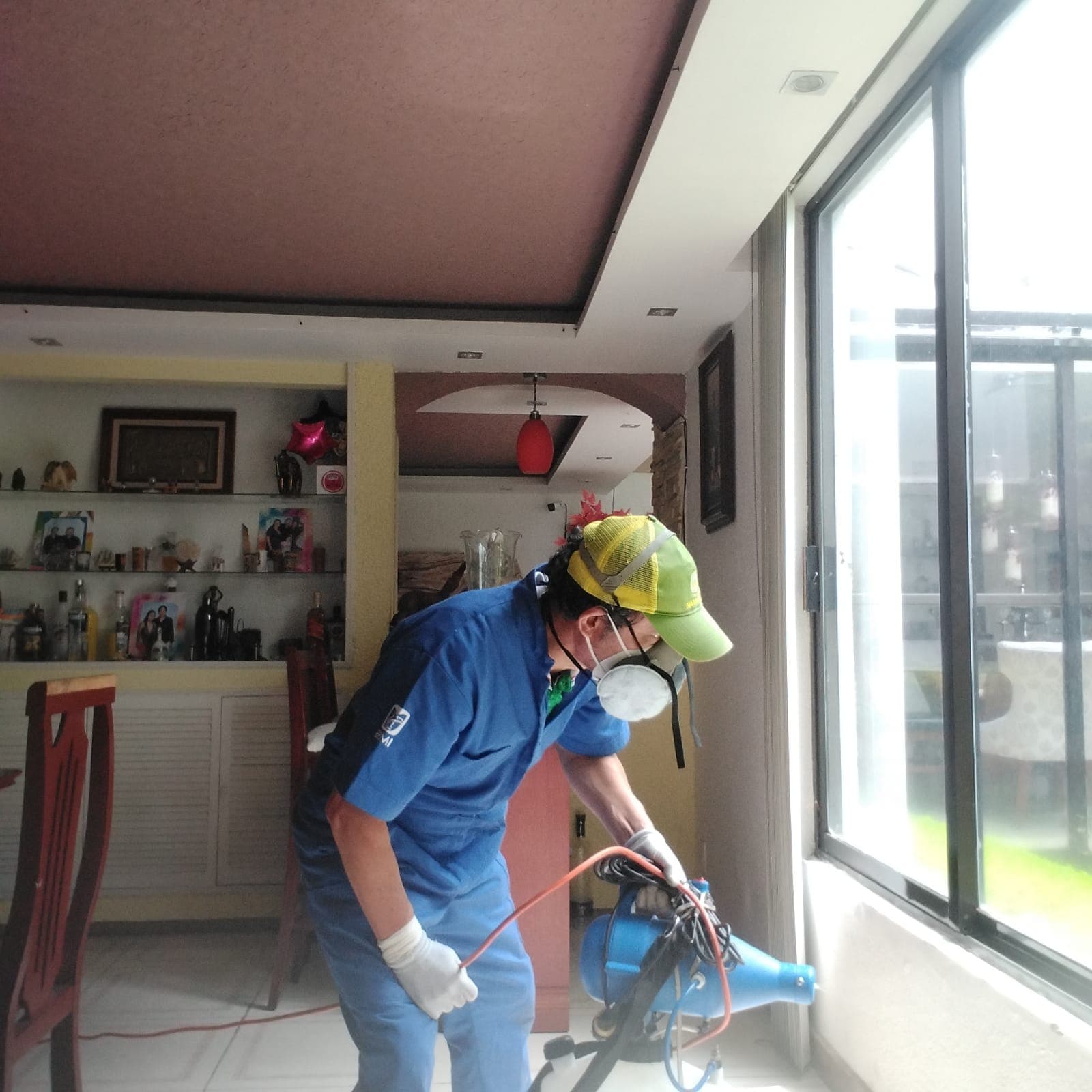 Fumigación